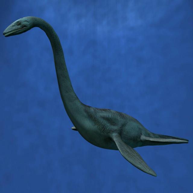 Plesiosaur