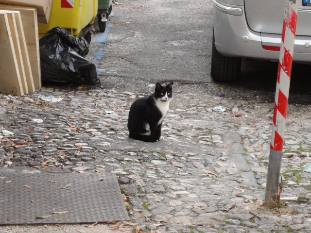 Keeping an eye on foot traffic in Spoleto