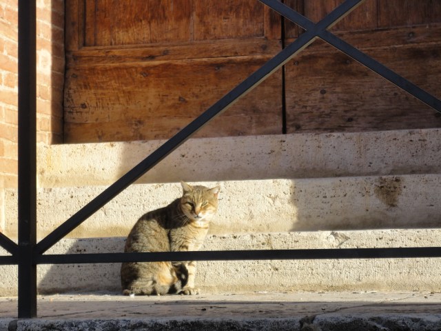 Morning watch in a Sienese village