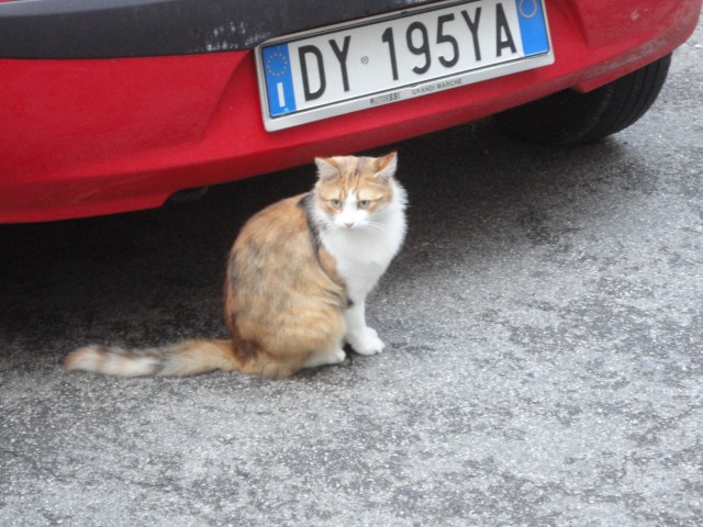 Protecting a parking spot in Lucca, Italy