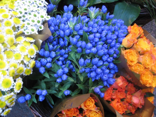 Even the inedibles look are tempting...