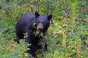 Photo by takepart.com