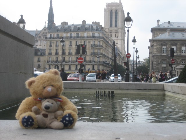 bear in Paris